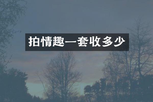 拍情趣一套收多少