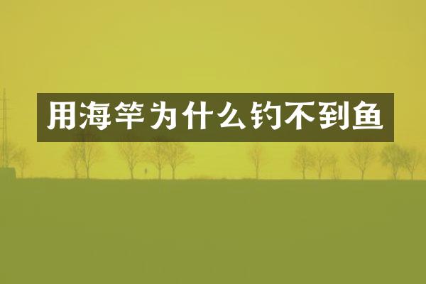 用海竿为什么钓不到鱼