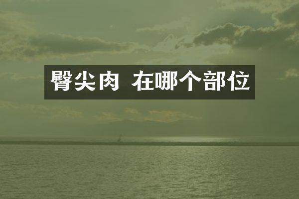 臀尖肉 在哪个部位