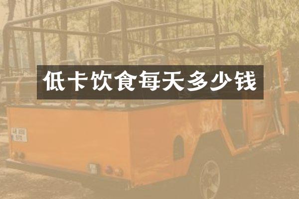 低卡饮食每天多少钱