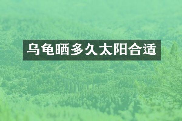 乌龟晒多久太阳合适