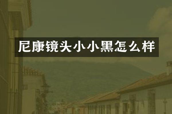 尼康镜头小小黑怎么样