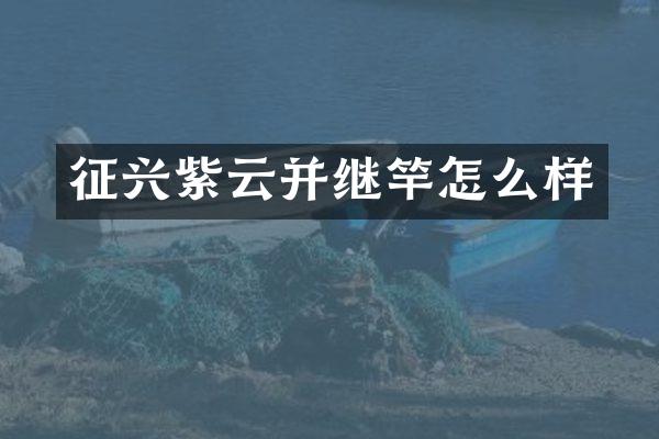 征兴紫云并继竿怎么样