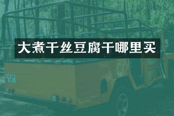 大煮干丝豆腐干哪里买