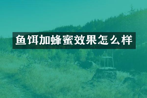鱼饵加蜂蜜效果怎么样