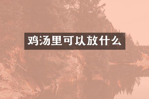 鸡汤里可以放什么