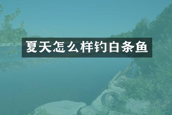夏天怎么样钓白条鱼