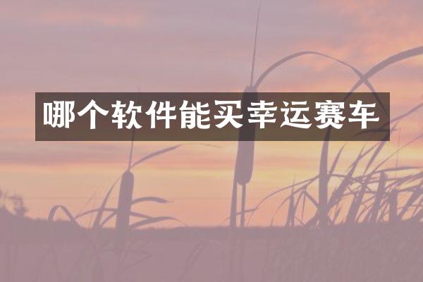 哪个软件能买幸运赛车
