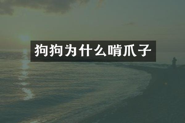 狗狗为什么啃爪子