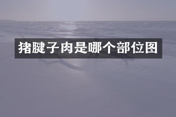 猪腱子肉是哪个部位图