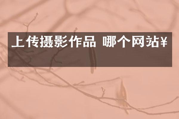 上传摄影作品 哪个网站好