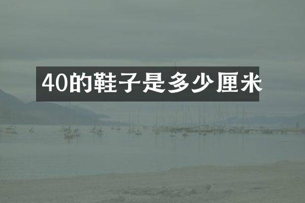 40的鞋子是多少厘米