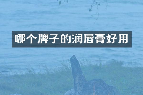 哪个牌子的润唇膏好用