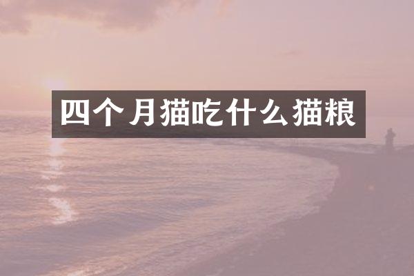 四个月猫吃什么猫粮