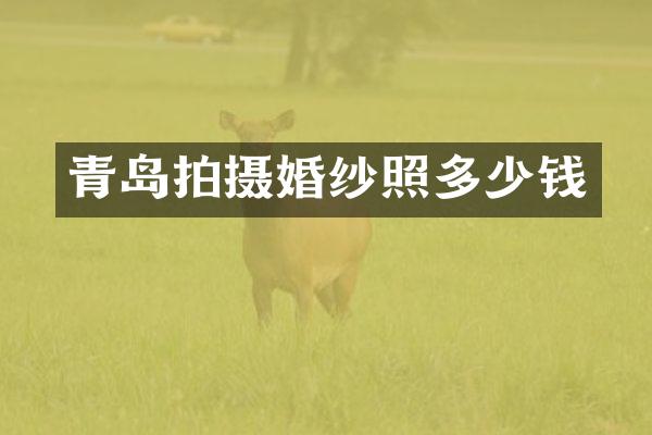 青岛拍摄婚纱照多少钱