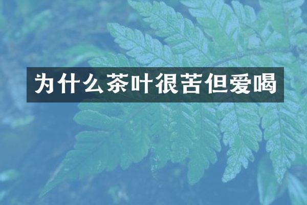 为什么茶叶很苦但爱喝