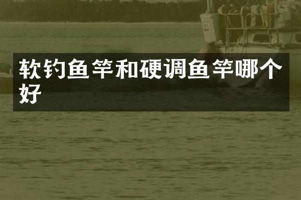软钓鱼竿和硬调鱼竿哪个好