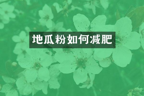 地瓜粉如何减肥