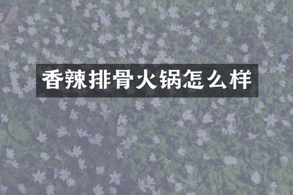 香辣排骨火锅怎么样