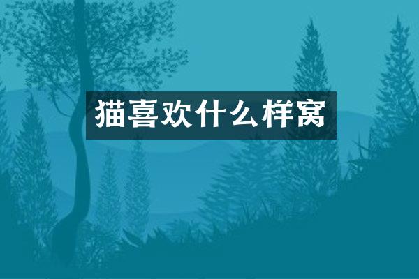 猫喜欢什么样窝