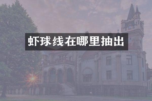 虾球线在哪里抽出
