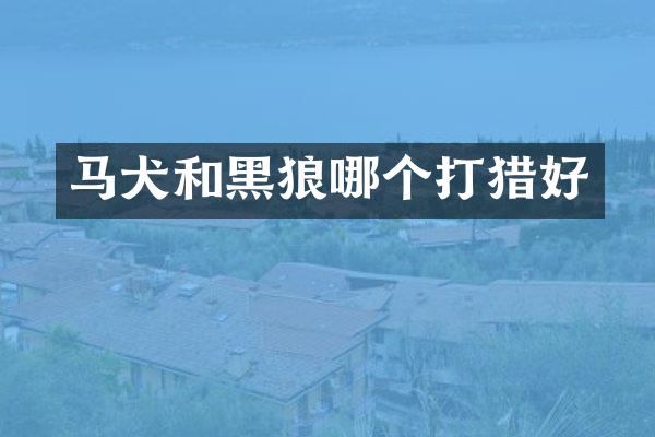 马犬和黑狼哪个打猎好