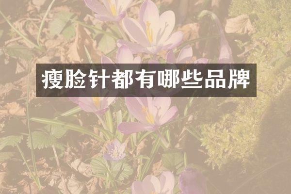 瘦脸针都有哪些品牌