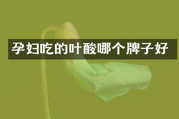 孕妇吃的叶酸哪个牌子好