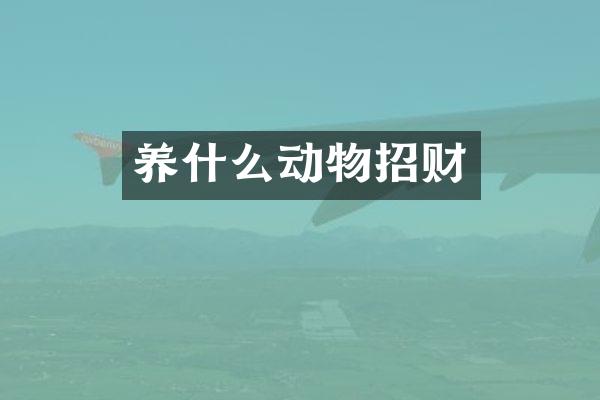 养什么动物招财