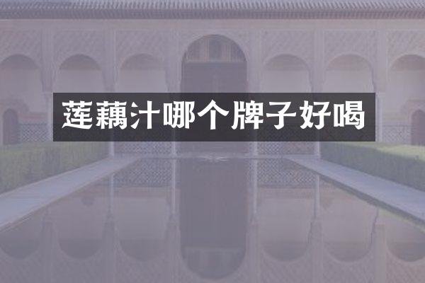 莲藕汁哪个牌子好喝