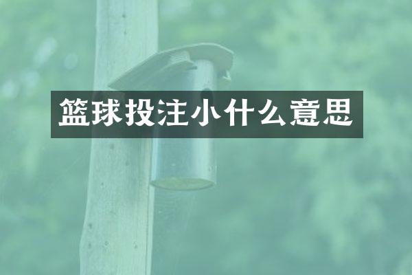 篮球小什么意思