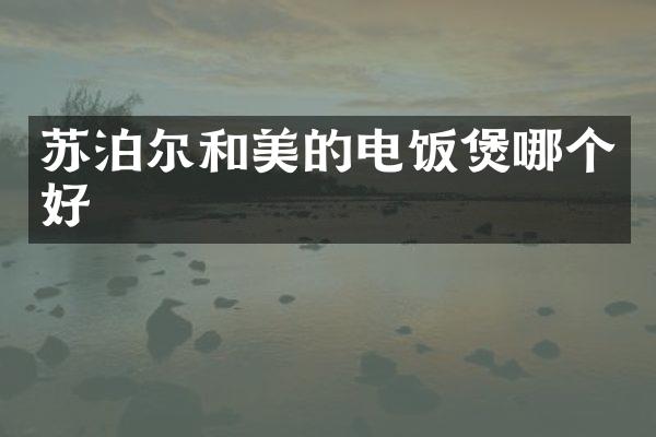 苏泊尔和美的电饭煲哪个好