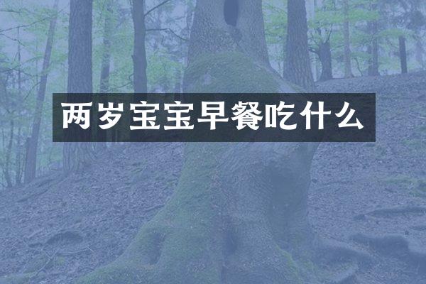 两岁宝宝早餐吃什么