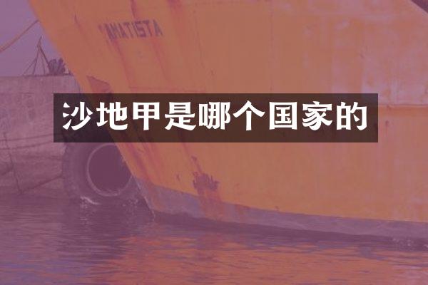 沙地甲是哪个国家的