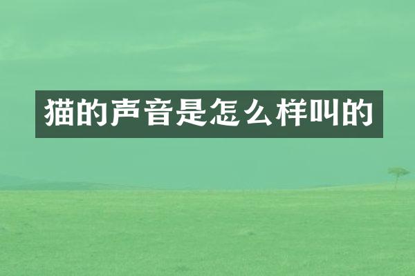 猫的声音是怎么样叫的