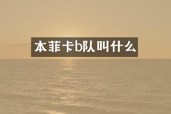 本菲卡b队叫什么
