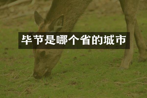 毕节是哪个省的城市