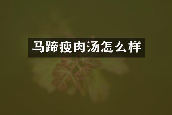 马蹄瘦肉汤怎么样