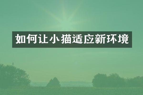 如何让小猫适应新环境
