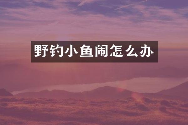 野钓小鱼闹怎么办