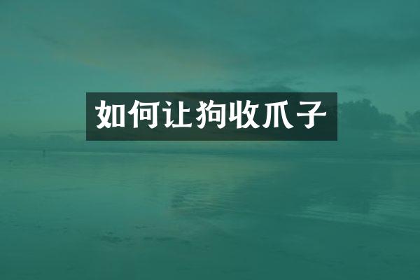 如何让狗收爪子