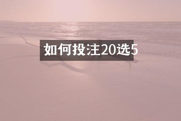 如何投注20选5