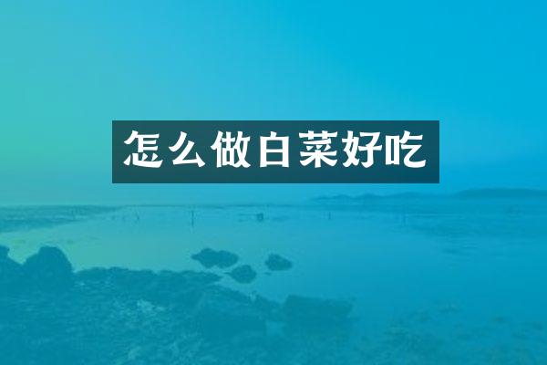 怎么做白菜好吃