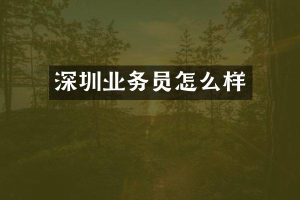 深圳业务员怎么样