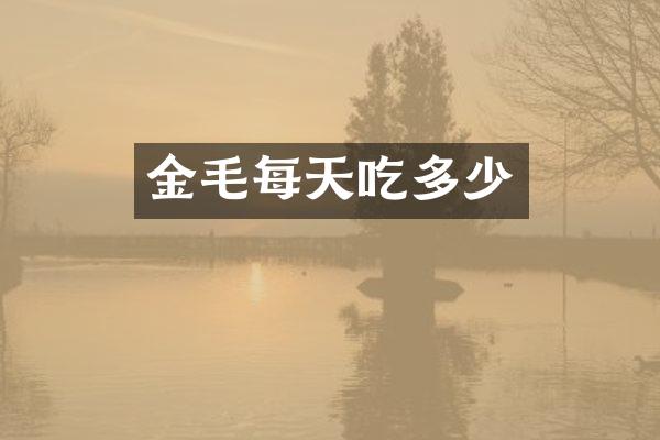 金毛每天吃多少