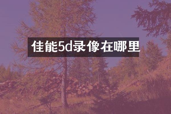 佳能5d录像在哪里
