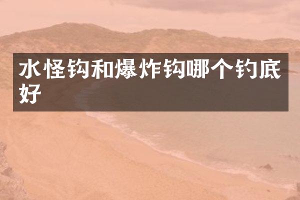 水怪钩和爆炸钩哪个钓底好