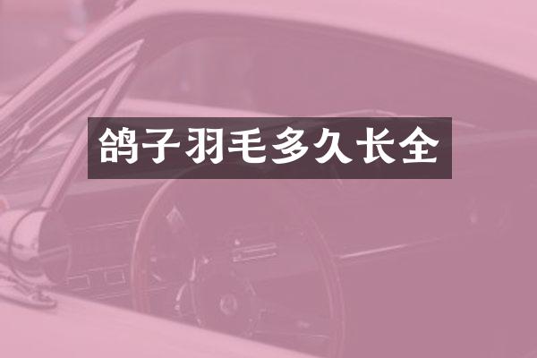 鸽子羽毛多久长全