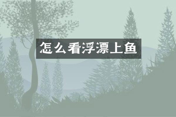 怎么看浮漂上鱼