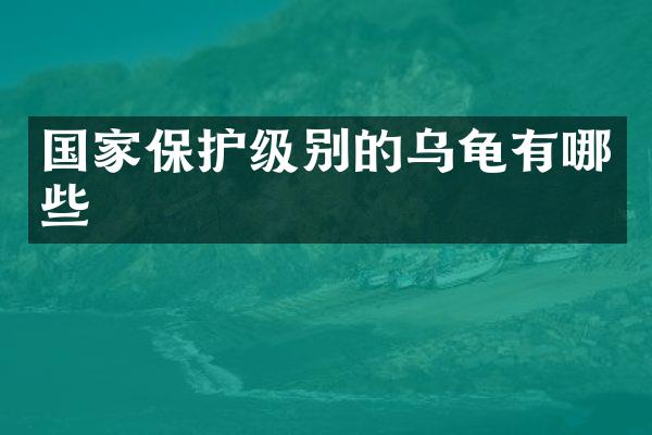国家保护级别的乌龟有哪些
